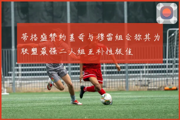 蒂格盛赞约基奇与穆雷组合称其为联盟最强二人组互补性极佳