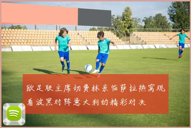 欧足联主席切费林亲临萨拉热窝观看波黑对阵意大利的精彩对决