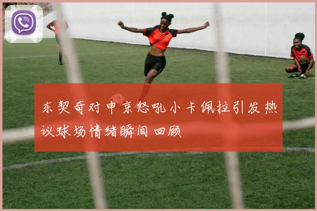 东契奇对申京怒吼小卡佩拉引发热议球场情绪瞬间回顾