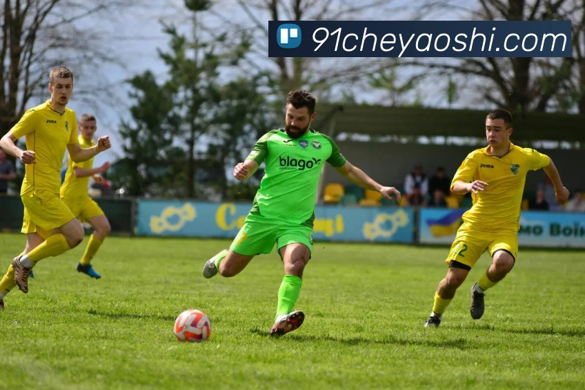 星空体育综合平台APP 封面图